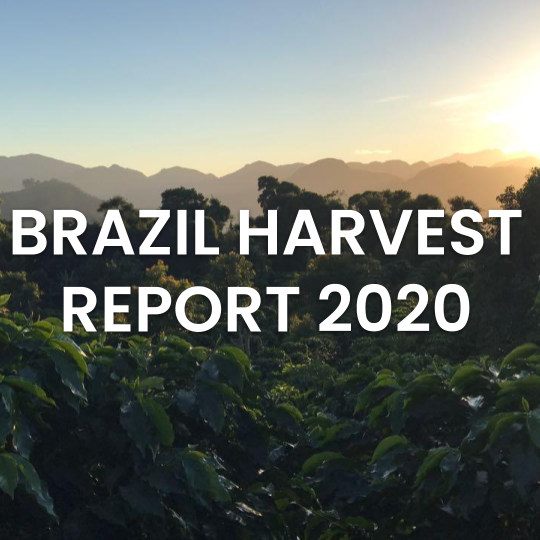 Brazil Harvest Report-1